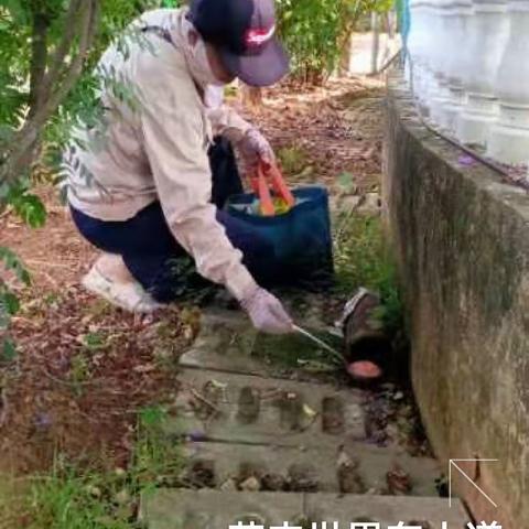 2023年8月4日海南昱科在凤翔街道五岳村委会花卉世界病媒生物防制消杀的工作情况