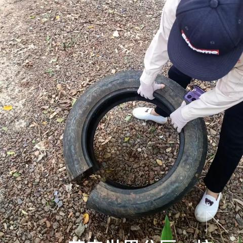 2023年8月7日海南昱科在凤翔街道五岳村委会花卉世界病媒生物防制消杀的工作情况