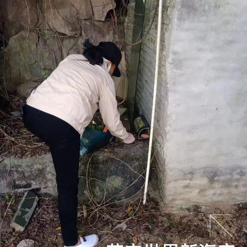2023年8月9日海南昱科在凤翔街道五岳村委会花卉世界病媒生物防制消杀的工作情况