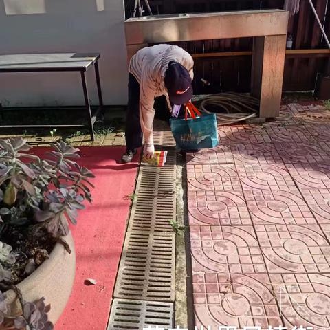 2023年8月10日海南昱科在凤翔街道五岳村委会花卉世界病媒生物防制消杀的工作情况