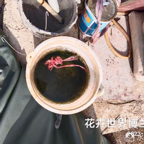 2023年8月15日海南昱科在凤翔街道五岳村委会花卉世界病媒生物防制消杀的工作情况