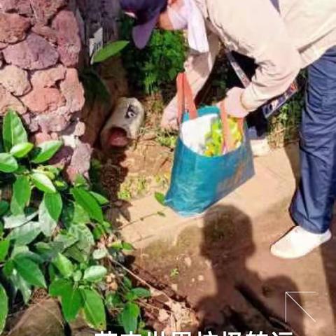 2023年8月18日海南昱科在凤翔街道五岳村委会花卉世界病媒生物防制消杀的工作情况