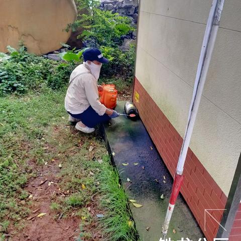 2023年8月23日海南昱科在凤翔街道五岳村委会花卉世界病媒生物防制消杀的工作情况