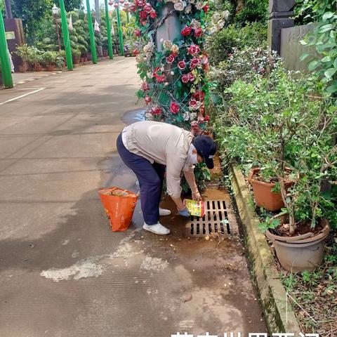2023年8月24日海南昱科在凤翔街道五岳村委会花卉世界病媒生物防制消杀的工作情况