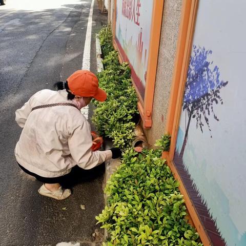 2023年8月16日海南昱科在凤翔街道五岳村委会花卉世界病媒生物防制消杀的工作情况