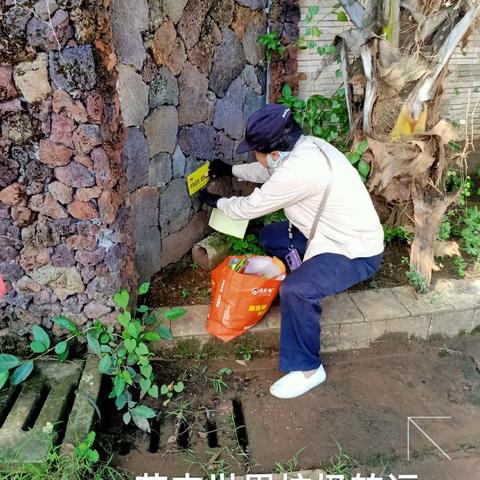2023年8月30日海南昱科在凤翔街道五岳村委会花卉世界病媒生物防制消杀的工作情况