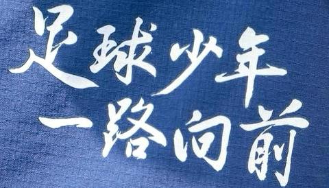 【大雁塔小学教育集团•素养篇】2024年大雁塔小学“梦想杯”校园足球赛掠影