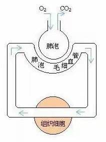 高压氧科普小知识—什么是高压氧？