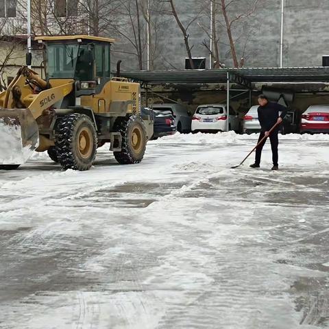 扫雪护行，乡村干群齐上阵！