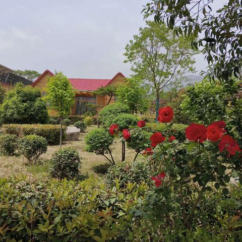 突出示范引领  建设和美乡村--鹤壁淇县农村人居环境整治纪实（四）