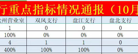 盘州支行重点指标通报-十月第二期