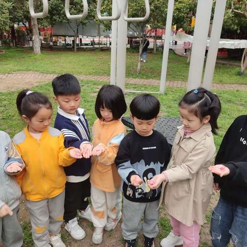 “彩绘春日·留住美好”——东湖幼稚园大二班第六周精彩剪映