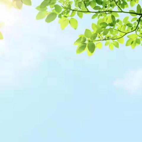 分享“心”经验 •“育”见新成长——常乐镇中心小学2024年秋季学期班主任工作经验交流活动