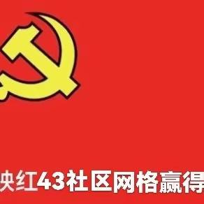 党旗映红社区   网格服务赢民心