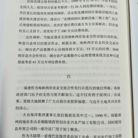 习在东：考察东兴