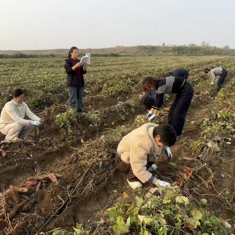 最是书香能致远 读书赋能谱新篇——邯郸供销农产品市场服务有限公司举办青年党员干部职工读书学习活动