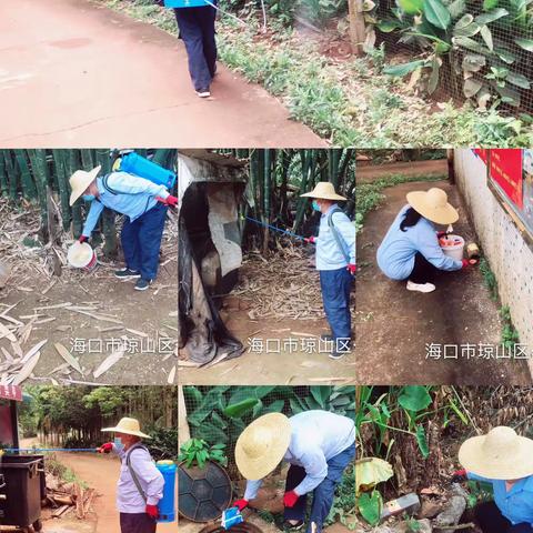 【琼山基层治理】云龙镇开展预防登革热工作