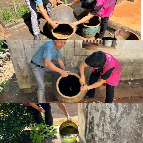 云龙村开展预防登革热工作