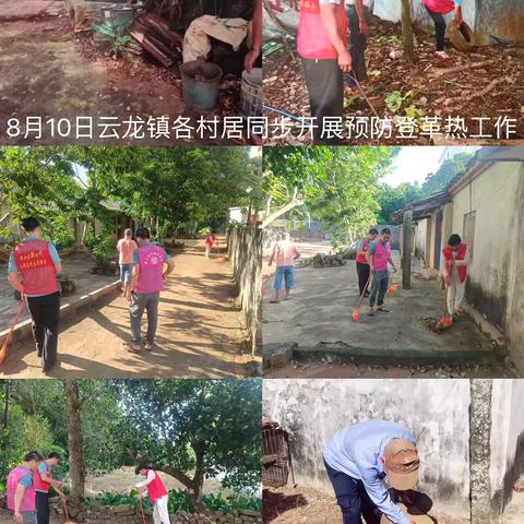 云龙镇开展预防登革热工作