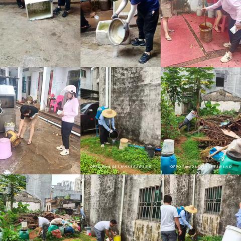 云龙镇开展登革热防治工作