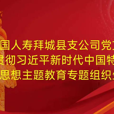 拜城县支公司党支部组织生活会暨党员民主评议大会