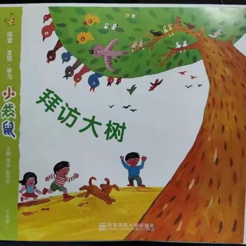 西安市高陵区幼儿园中四班《拜访大树》主题活动总结