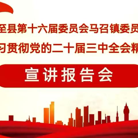 政协周至县委员会李安济副主席来马召镇委员工作室宣讲党的二十届三中全会报告精神