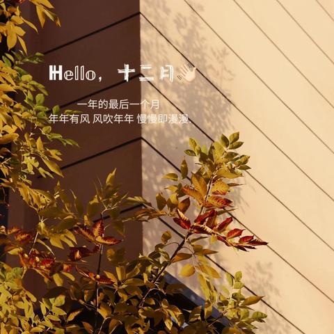 九年级2班第14周教学计划