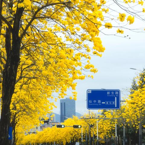 九年级1班第5周教学计划