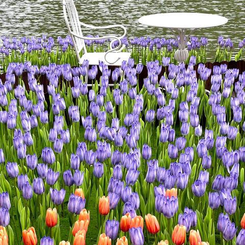 九年级2班第5周教学计划