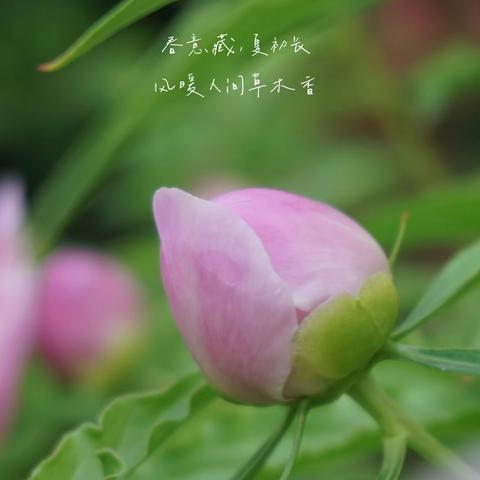 九年级2班第13周教学计划