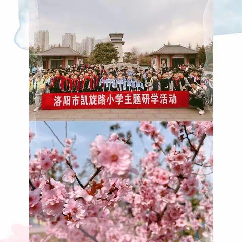 研有所见，学有所获——三年级研学活动纪实