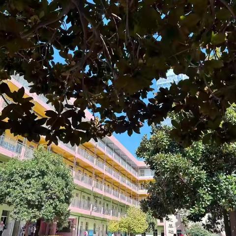 2024～2025学年第一学期教师集体研修（第十三期）——情绪舵手：做情绪的主人