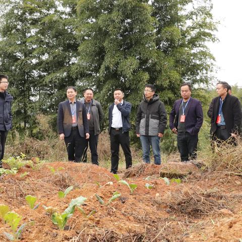 治平畲族乡人大主席团开展关于新增耕地补录及重点项目推进情况视察