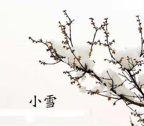 知节气 迎小雪