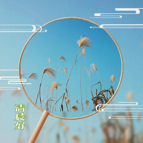 2022年早安问候卡（下）