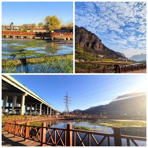 清漳河国家湿地公园—— 鸟儿们冬季栖息的乐园