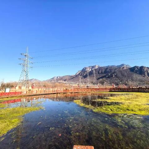 高挂红旗造氛围 ﻿扮靓公园迎新春