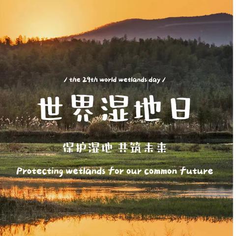 保护湿地 共筑未来