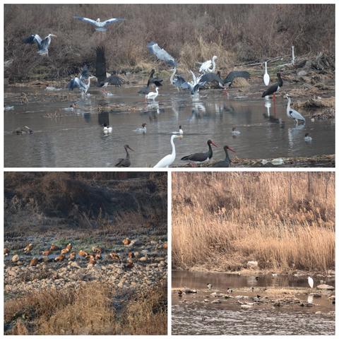 清漳河生态画卷跃然眼前