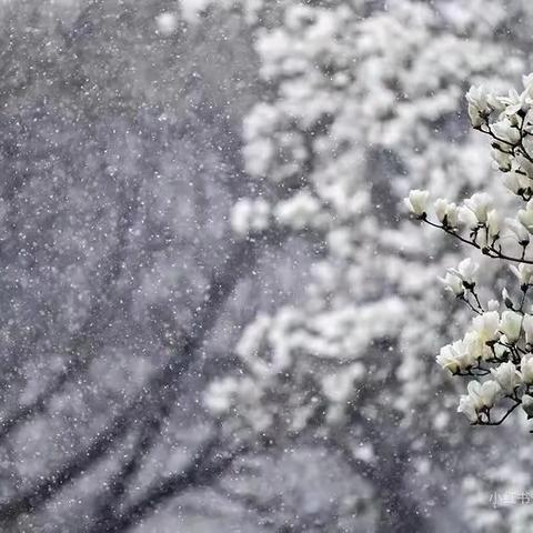 清漳河国家湿地公园-春日遇白雪