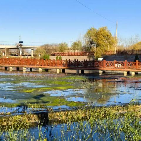 绿美涉县——漳河湿地 生态之美