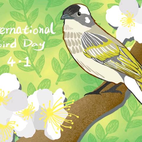 守护候鸟迁徙通道 共享和谐美好家园