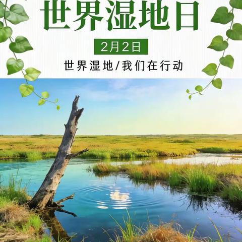 湿地润万物 ‍人与自然共生 ‍