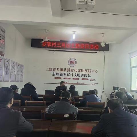 “传承雷锋精神，争当时代先锋”——罗家村党支部开展三月份主题党日活动