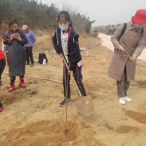 植此青绿‖青岛为明学校H401青鸟班植树活动纪实（家彤同学）