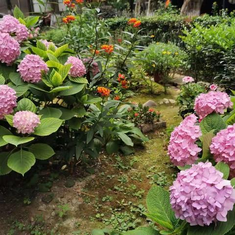 丽阳嘉园7月工作汇报