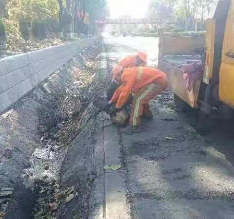 公路日常养护