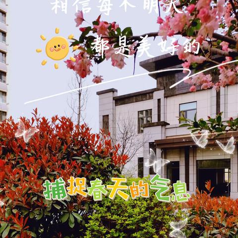 🌻美哉兰庭 暖春三月为爱而动💕