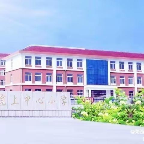 绿茵场展风采 争做阳光少年----院上镇中心小学2023校长杯足球赛